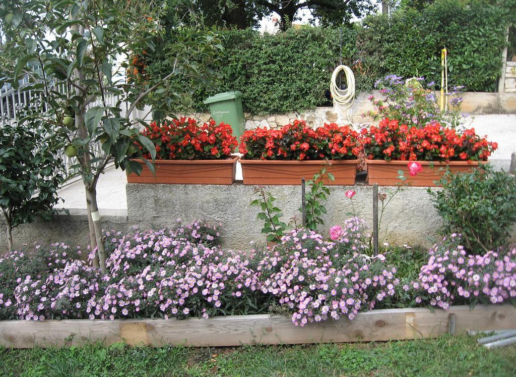 Apartments Adelita Poreč Rom bilde