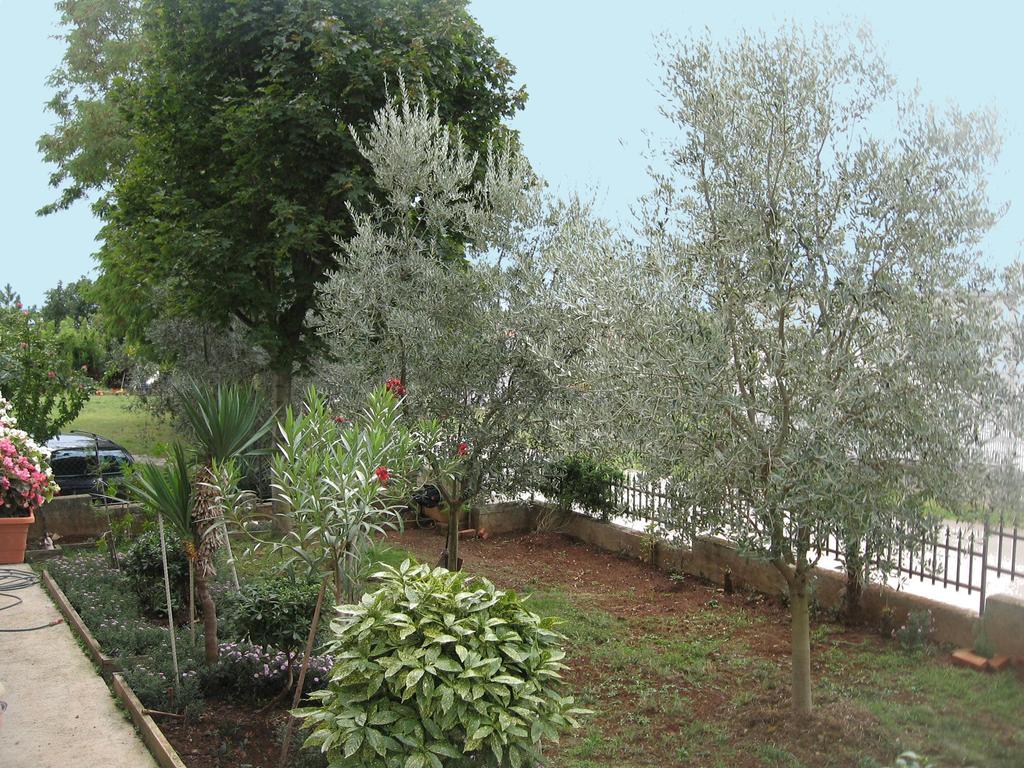 Apartments Adelita Poreč Rom bilde