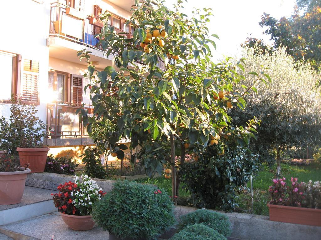 Apartments Adelita Poreč Eksteriør bilde
