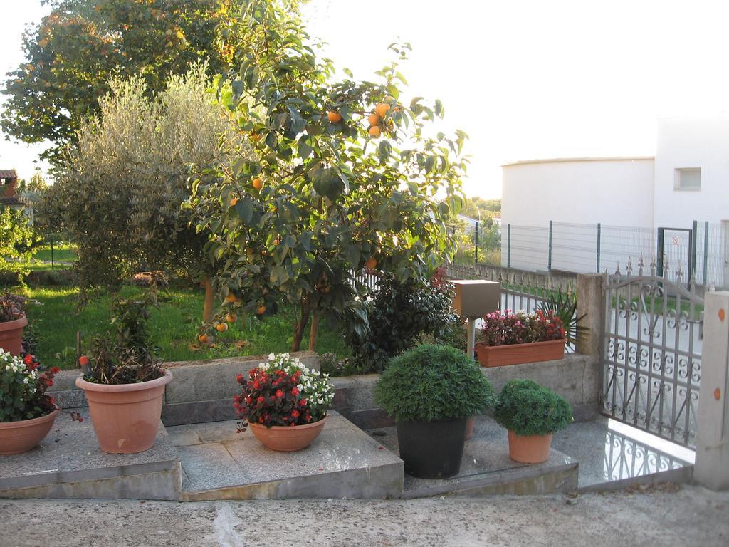 Apartments Adelita Poreč Eksteriør bilde